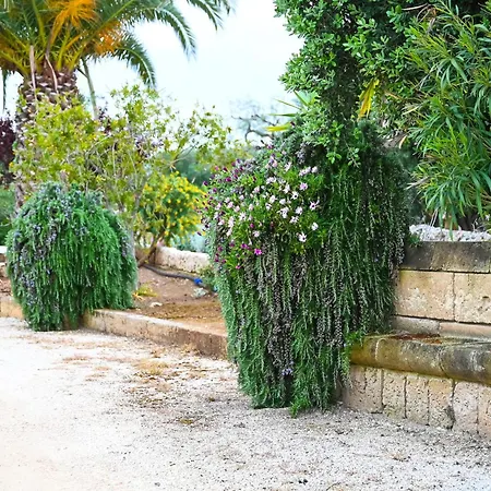 Casa Macchiosa Πανσιόν Torre Canne
