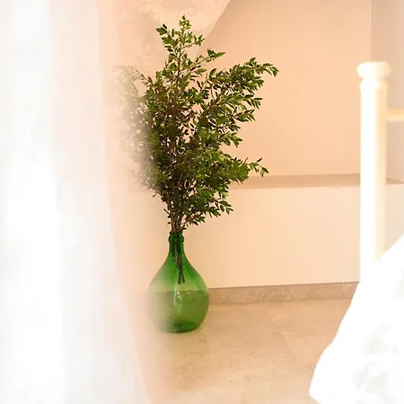Casa Macchiosa Torre Canne